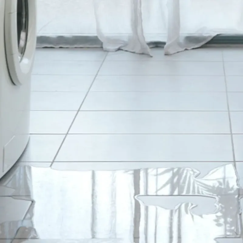 Appliance Leak Cleanup in Alstead, NH