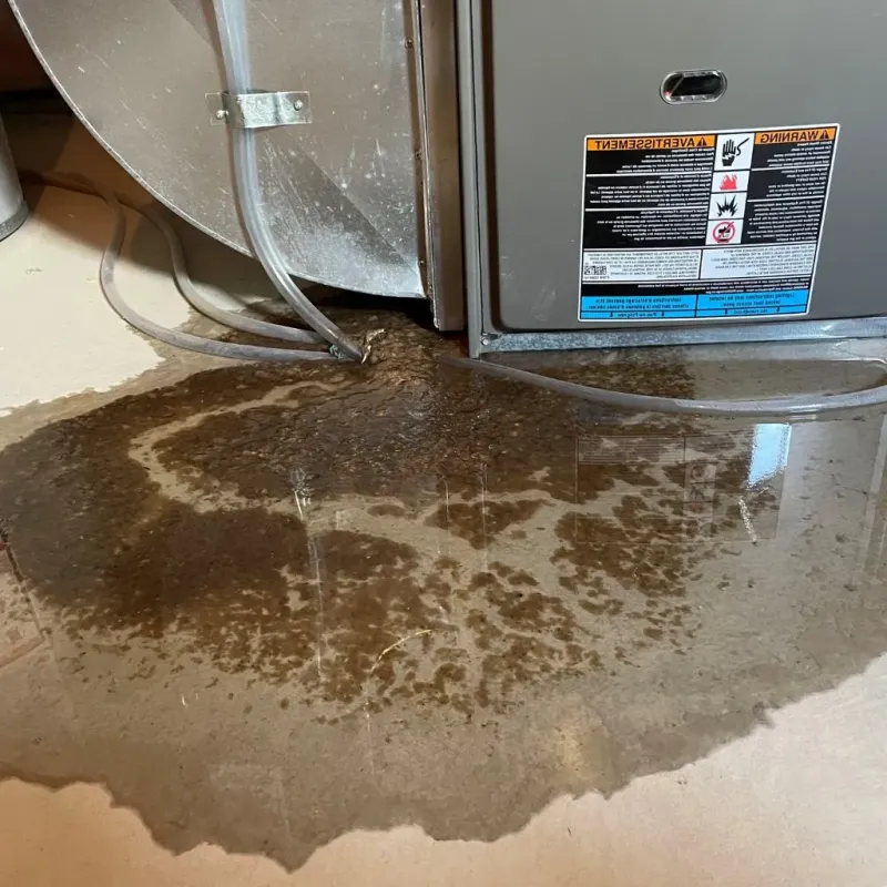 Pipe Burst and Leak Restoration in Alstead, NH